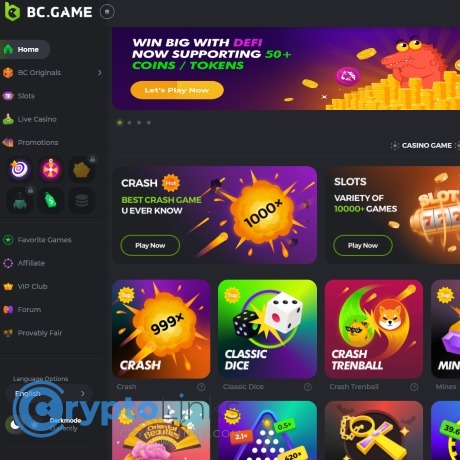 Discovering BC Game in Pakistan The Ultimate Gaming Experience