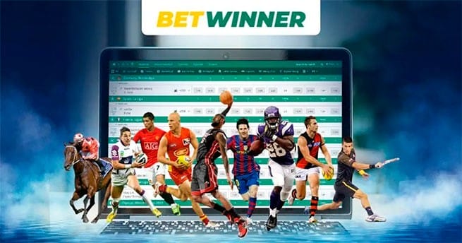 BetWinner Platform Your Ultimate Betting Experience