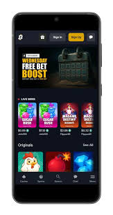 Understanding Crypto Casinos A Comprehensive Guide -1373342309