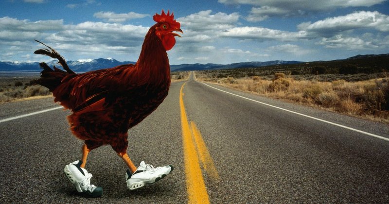 Introduction to chicken road oficial